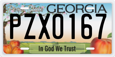 GA license plate PZX0167