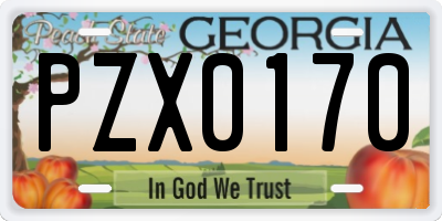 GA license plate PZX0170