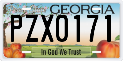 GA license plate PZX0171
