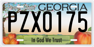 GA license plate PZX0175