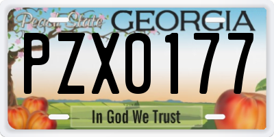GA license plate PZX0177