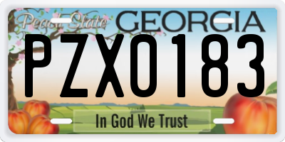 GA license plate PZX0183