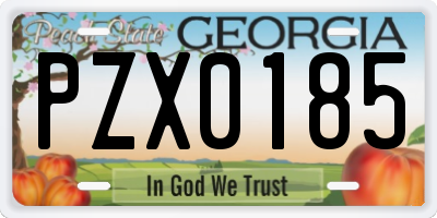 GA license plate PZX0185