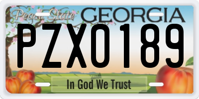 GA license plate PZX0189