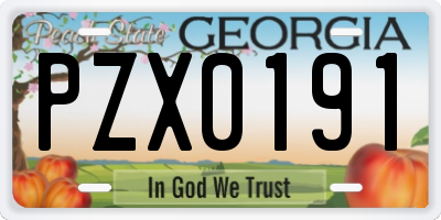 GA license plate PZX0191