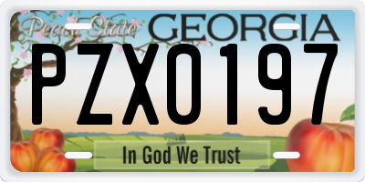 GA license plate PZX0197