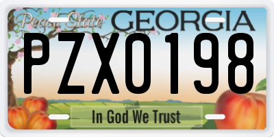 GA license plate PZX0198