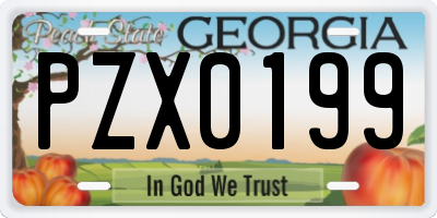 GA license plate PZX0199