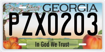 GA license plate PZX0203