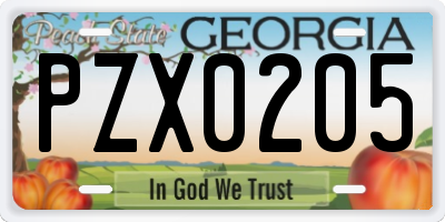 GA license plate PZX0205