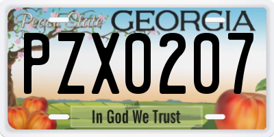 GA license plate PZX0207