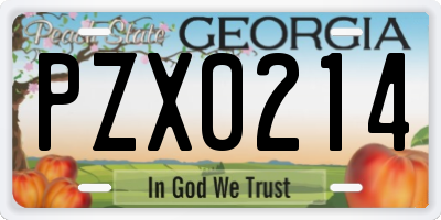 GA license plate PZX0214