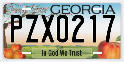 GA license plate PZX0217