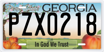GA license plate PZX0218