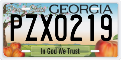 GA license plate PZX0219