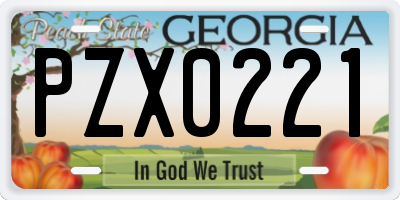 GA license plate PZX0221