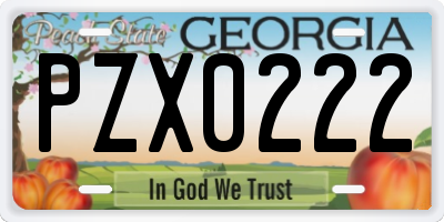 GA license plate PZX0222