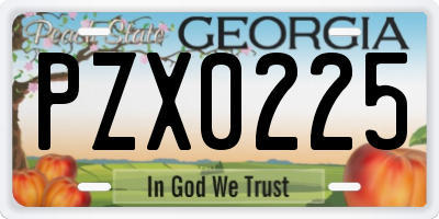 GA license plate PZX0225