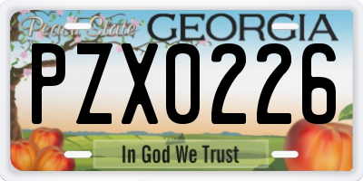GA license plate PZX0226
