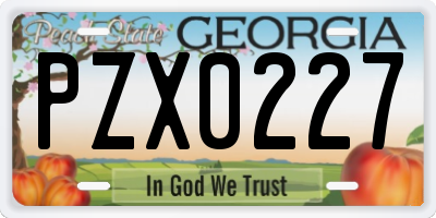 GA license plate PZX0227