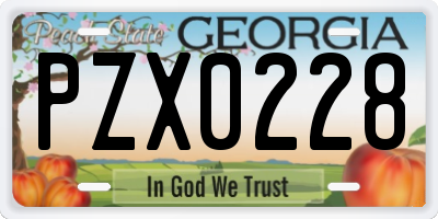 GA license plate PZX0228