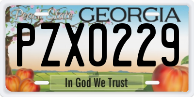 GA license plate PZX0229