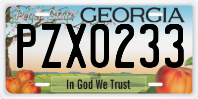 GA license plate PZX0233