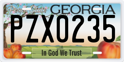 GA license plate PZX0235
