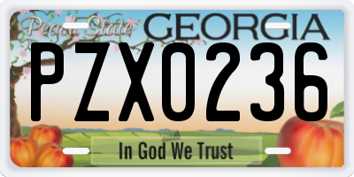 GA license plate PZX0236