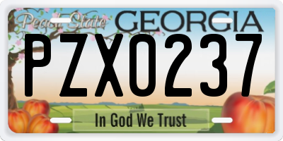 GA license plate PZX0237