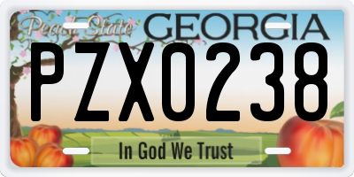 GA license plate PZX0238