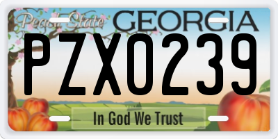 GA license plate PZX0239