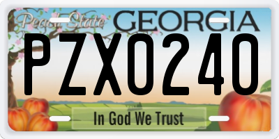 GA license plate PZX0240