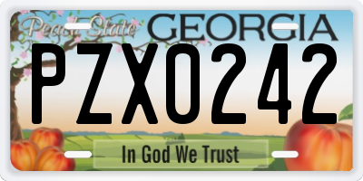 GA license plate PZX0242