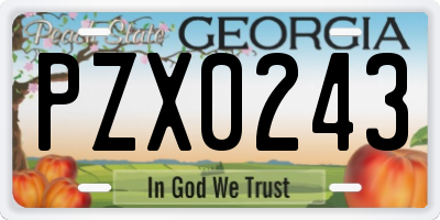 GA license plate PZX0243