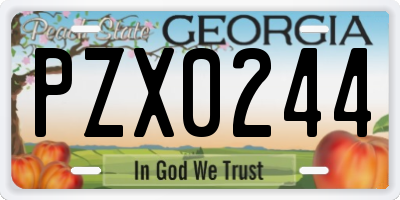 GA license plate PZX0244