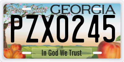 GA license plate PZX0245