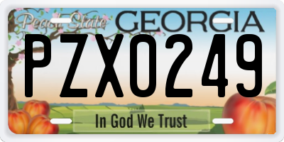 GA license plate PZX0249
