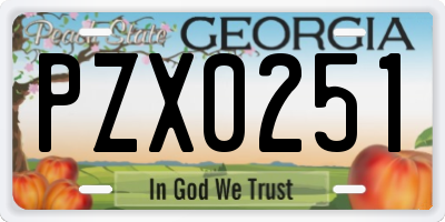 GA license plate PZX0251