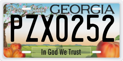 GA license plate PZX0252