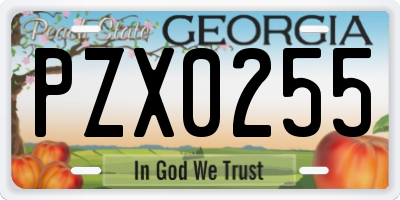 GA license plate PZX0255