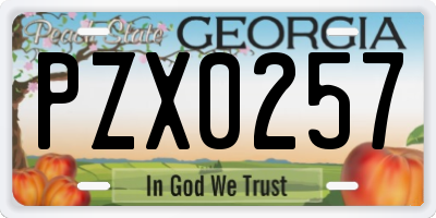 GA license plate PZX0257