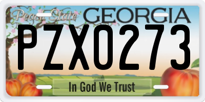 GA license plate PZX0273