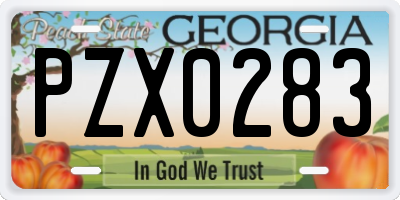 GA license plate PZX0283