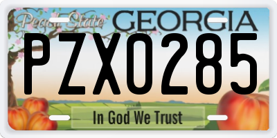 GA license plate PZX0285