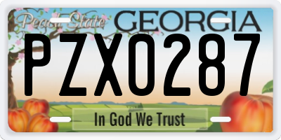 GA license plate PZX0287