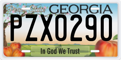 GA license plate PZX0290