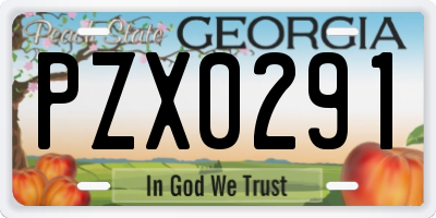 GA license plate PZX0291