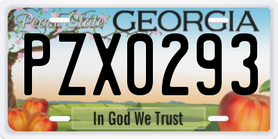 GA license plate PZX0293