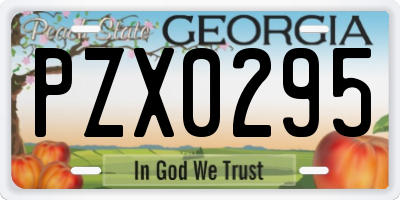 GA license plate PZX0295